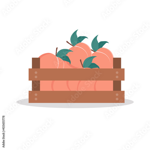 Wooden box full of peach. Vector illustration