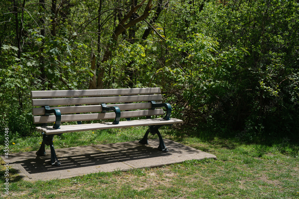 Park Bench on a sunny day in Spring Park Bench on a sunny day in Spring