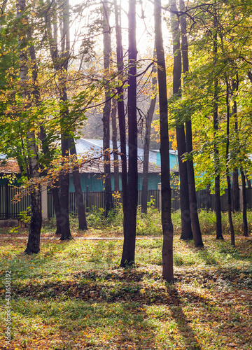 Building in sunny autumn forest