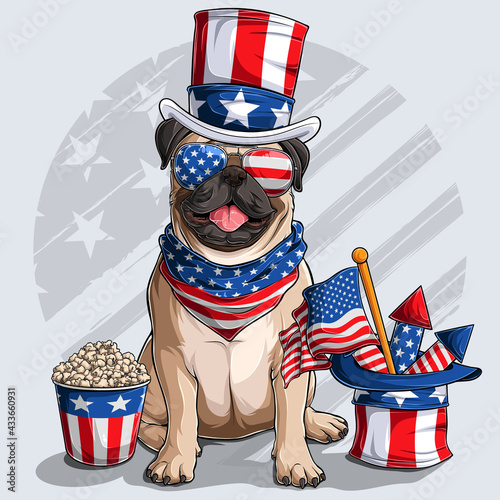 Cute beige Pug dog sitting with American independence day elements 4th of July and memorial day