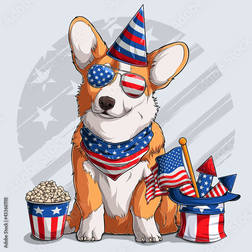 Cute Welsh corgi fluffy Pembroke dog sitting with American independence day elements 4th of July and memorial day