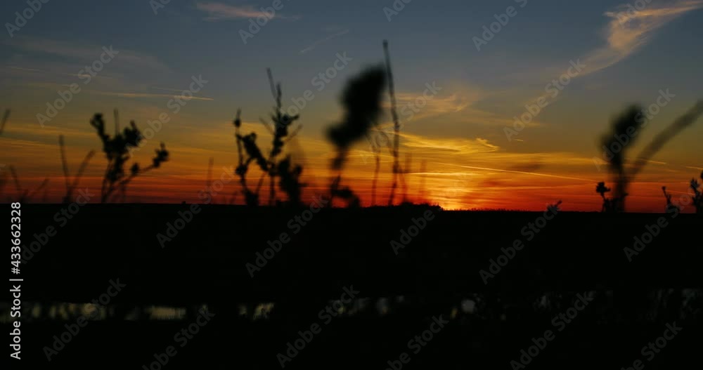 A very beautiful sunset, the sun is setting over the horizon. In the foreground is the grass. The sky is orange. A very beautiful sunset, the sun is setting over the horizon. In the foreground is the grass. The sky is orange.