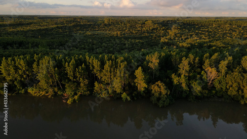 Beautiful aerial high shot of Amazon River and its green rainforest with trees at sunset