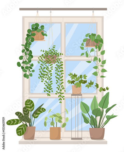 a window decorated with houseplants
