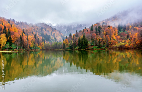 Borcka Karagol   Black Lake   in Artvin Province of Turkey