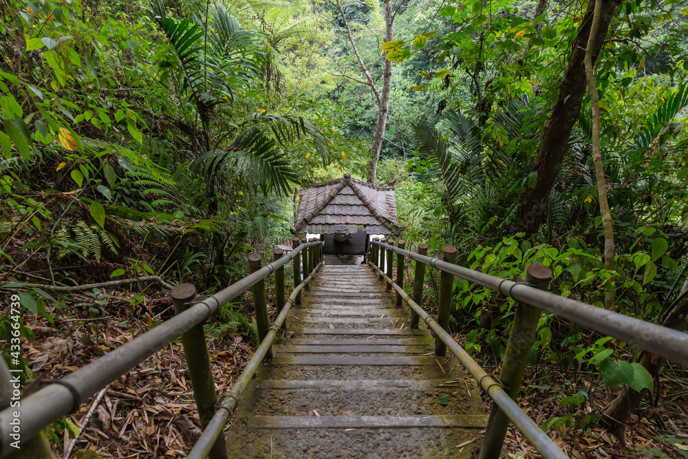 From above scenic view of narrow wooden stairs on hill slope in verdant woods in Indonesia From above scenic view of narrow wooden stairs on hill slope in verdant woods in Indonesia