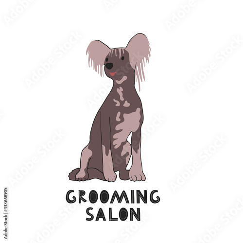 Pet grooming concept. Cute doggy Illustration for dog care, grooming, hygiene, health, Pet shop. Flat style vector banner