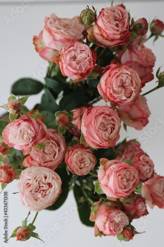 bouquet of roses isolated
