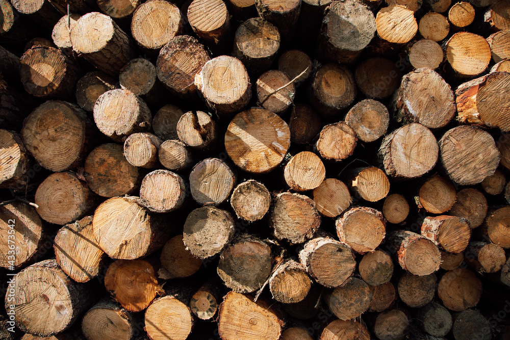 Textured background of cut firewood in rows with uneven surface and green plant sprigs in daylight
