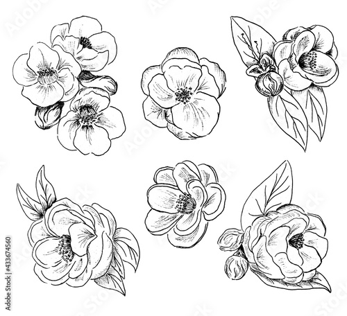 Black and white set of hand drawn flowers in bloom