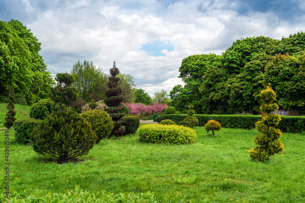 Topiary art in park design. Trimmed trees and shrubs in a summer city park. Evergreen landscape park