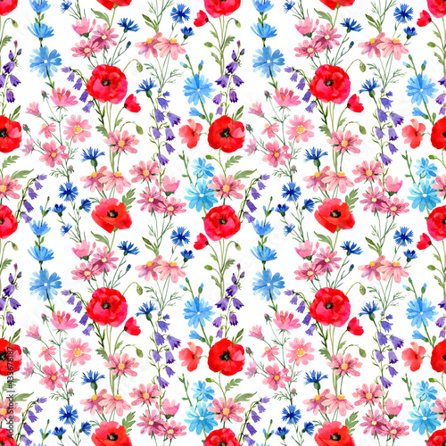 Wild flowers seamless pattern. Poppies, chicory, cosmos flowers, bluebells. Hand drawn watercolor illustration on white background