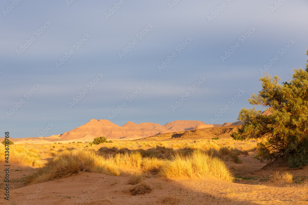 Sunset in the Sahara Desert. Mountains in the rays of the setting sun.