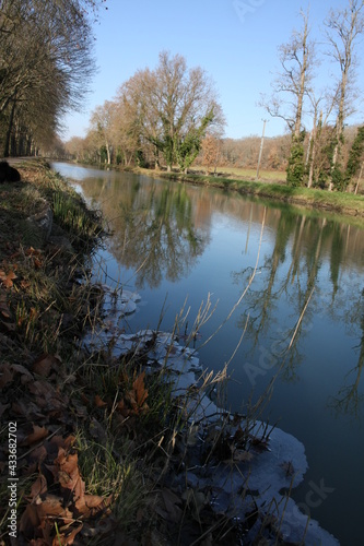 Bord de canal hivernal