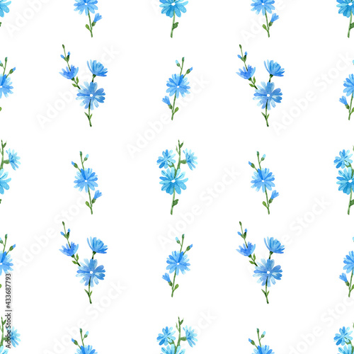 Blue chicory seamless pattern. Hand drawn watercolor illustration on white background