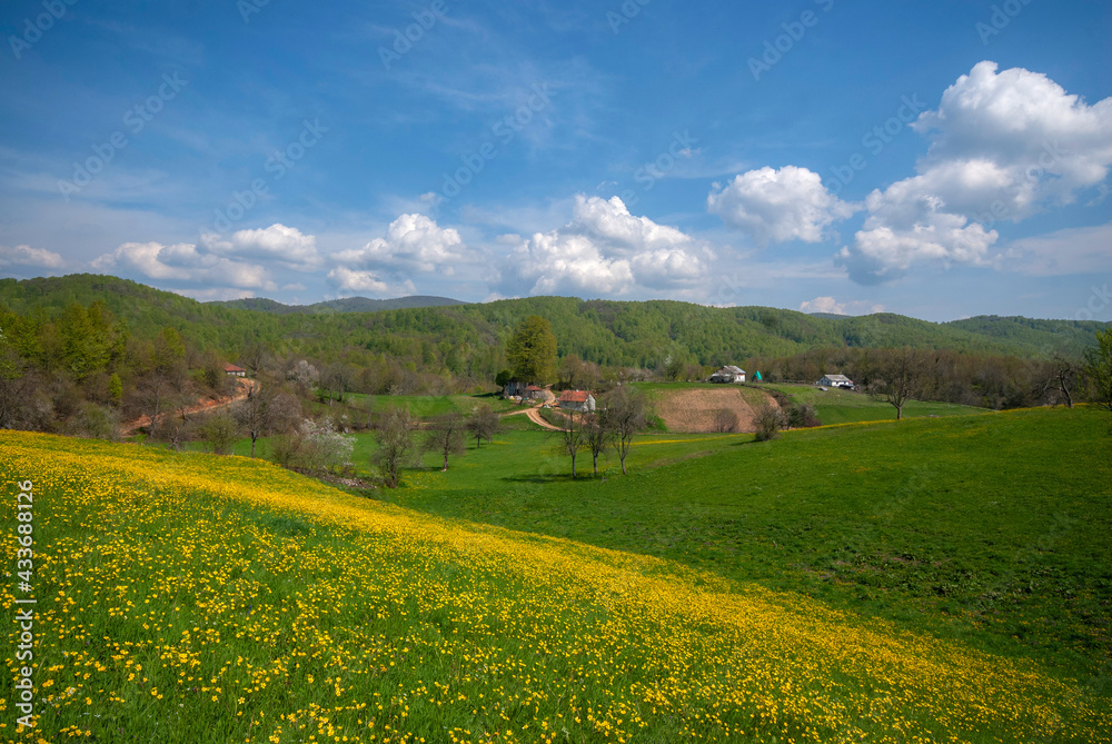 In the spring, flowers bloom in the highlands. Violet Plateau, İzmit Turkey. In the spring, flowers bloom in the highlands. Violet Plateau, İzmit Turkey.