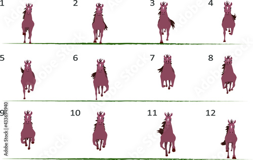 Running horse animation. Front view. Twelve key poses.