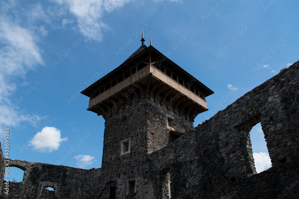 Nevytsky Castle in Ukraine. The ruins of the castle. Old building, stone walls Nevytsky Castle in Ukraine. The ruins of the castle. Old building, stone walls