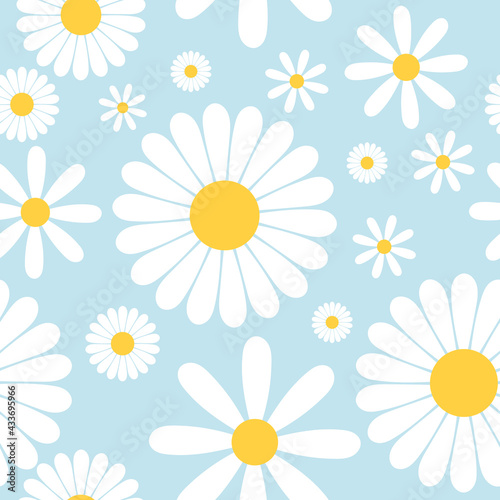 White cosmos flower pattern , isolated on blue background, Vector Illustration EPS 10