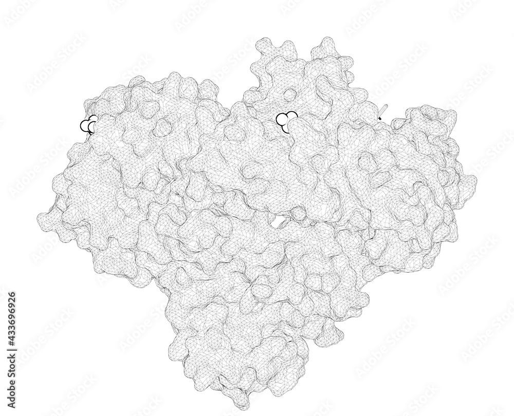 M184v Reverse Transcriptase 3D rendering as a line drawing of a molecule. Elucidating molecular ...