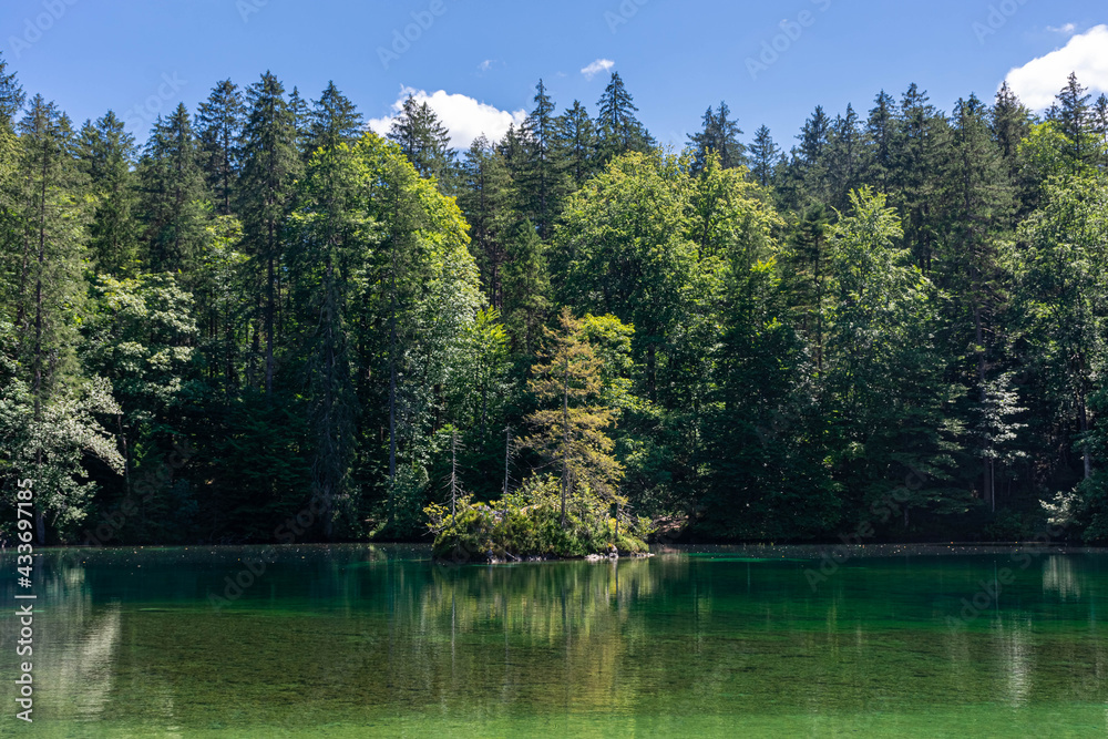Fototapeta premium Beautiful crystal clear lake in the forest of the Bavarian Alps, Germany