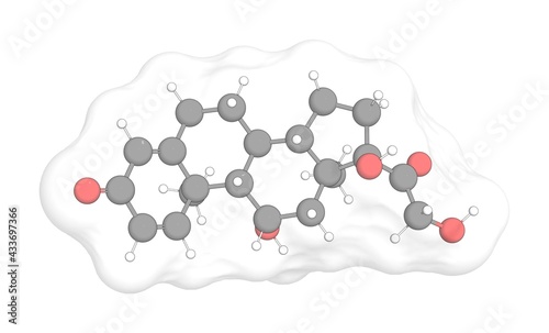 3D rendering of Prednisolone with white transparent surface on a white opaque background. Also called metacortandralone and hydroretrocortine. photo