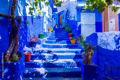 Blue stairs of Chefchaouen, Morocco © Stefano Zaccaria