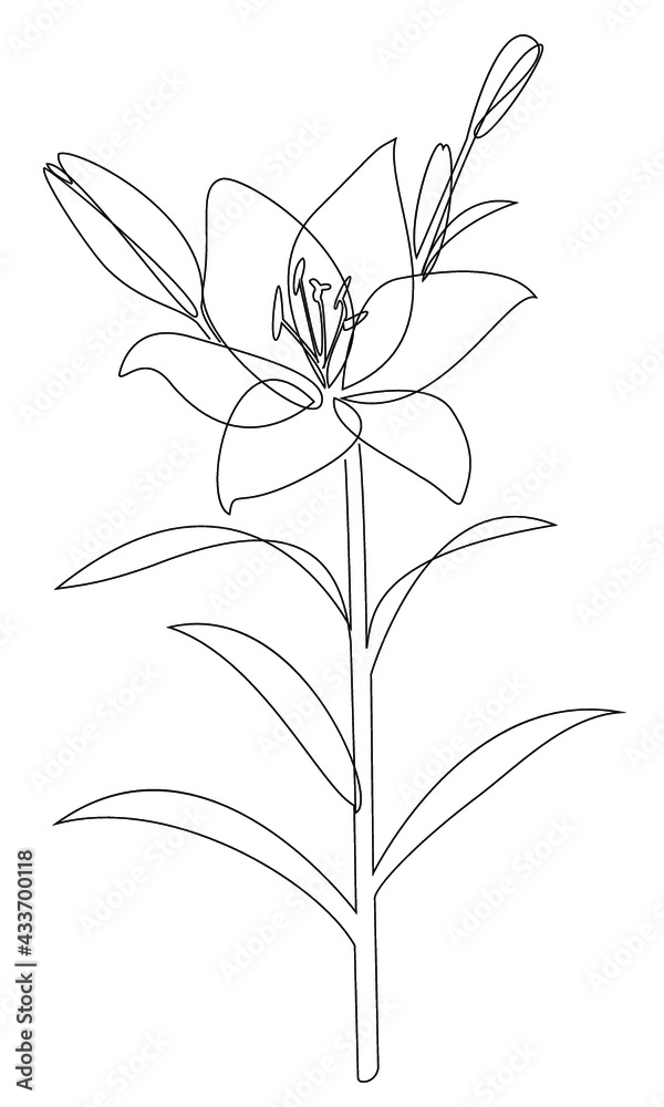 Silhouette of a flower. Lily on the stem and leaves in a modern trendy style with one line. Solid line, outline for decor, posters, stickers, logo. Vector illustration.