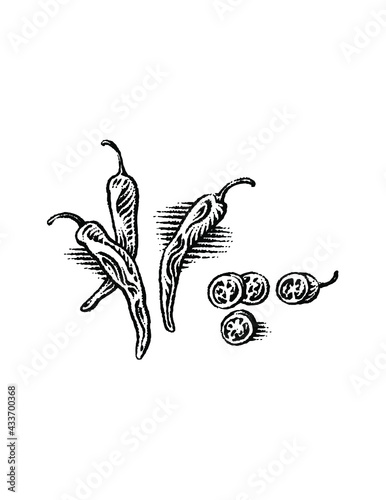 jalapeno pepper