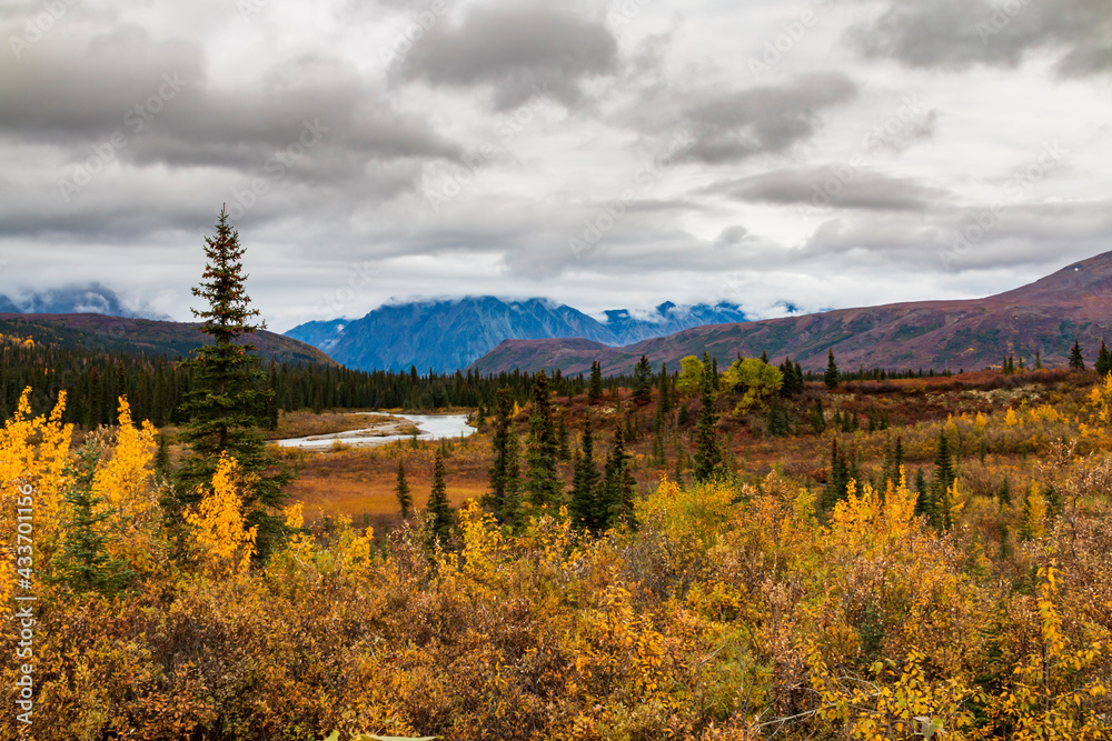 dramatic autumn landscape  of mountain ranges and moody sky  in Denali national  Park.