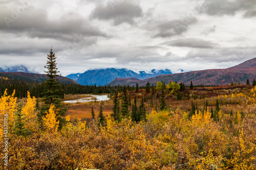 dramatic autumn landscape of mountain ranges and moody sky in Denali national Park.