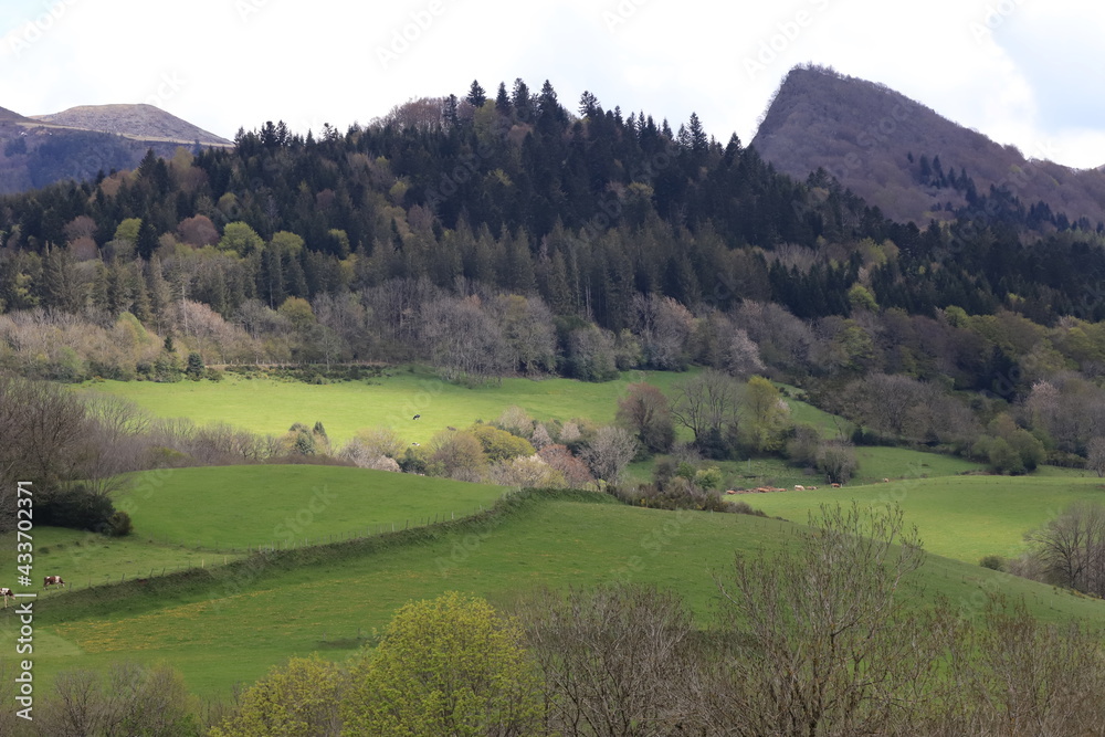 paysage d'Auvergne