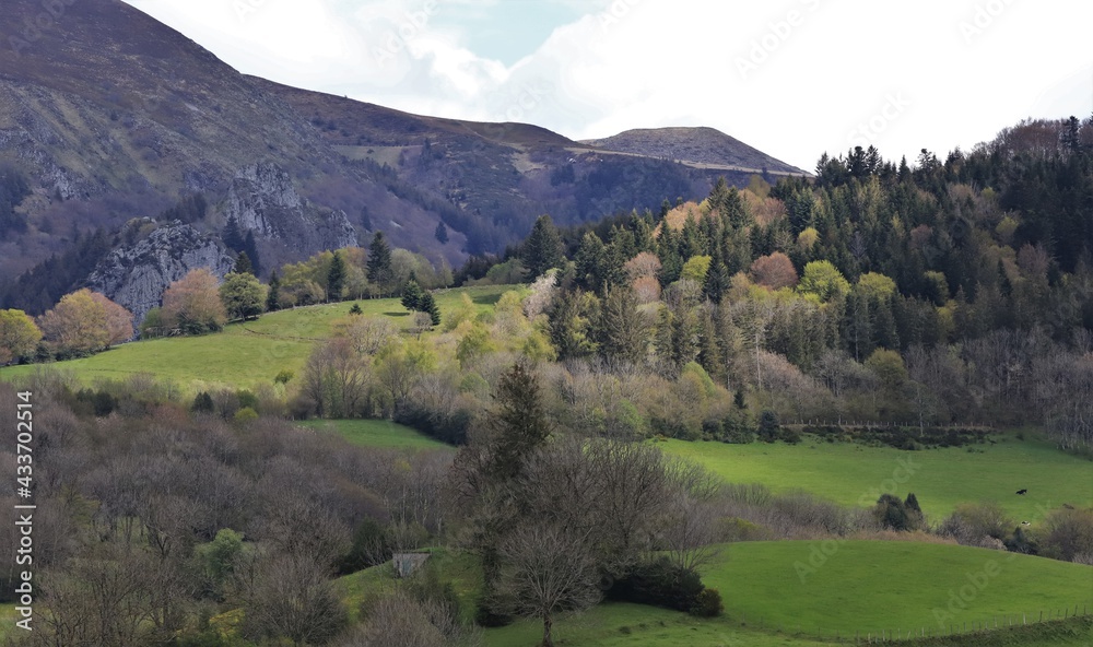 paysage d'Auvergne