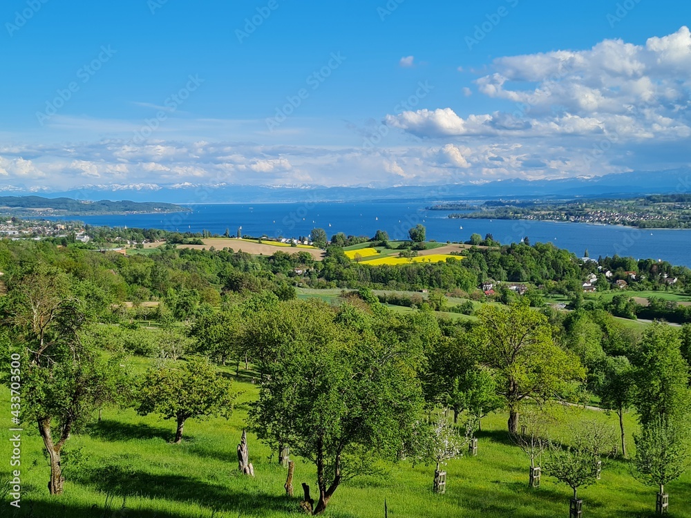 bei Überlingen am Bodensee