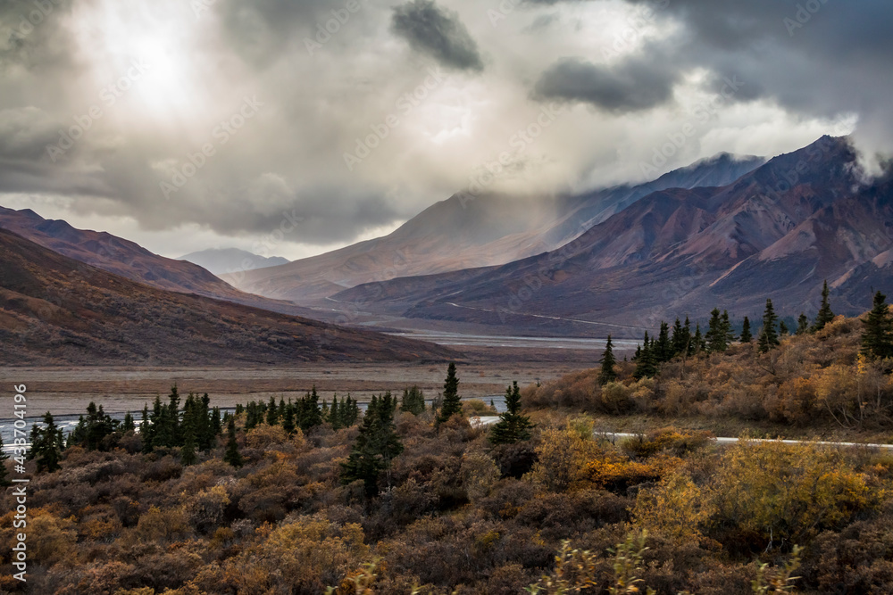 dramatic autumn landscape of snowcapped mountain ranges and peaks inside DEnali National park .