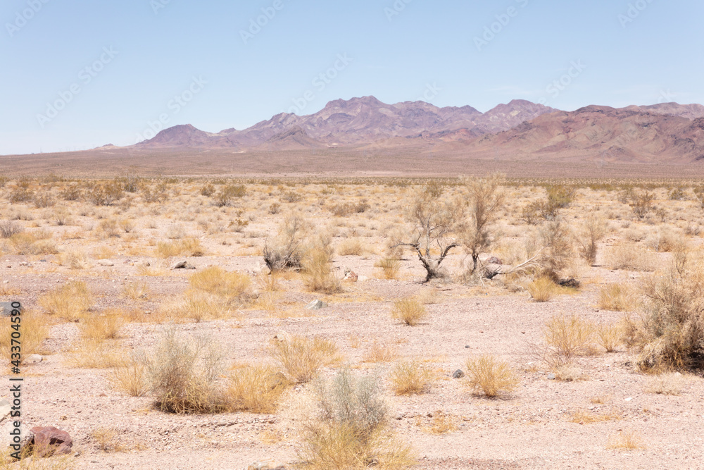Arid plain with mountains in the background, in the Mojave Desert under a blue sky Arid plain with mountains in the background, in the Mojave Desert under a blue sky