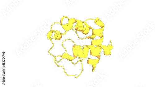 360º 3D rendering of a biological molecule. Defining the Apoptotic Trigger: THE INTERACTION OF CYTOCHROME c AND CARDIOLIPIN. photo