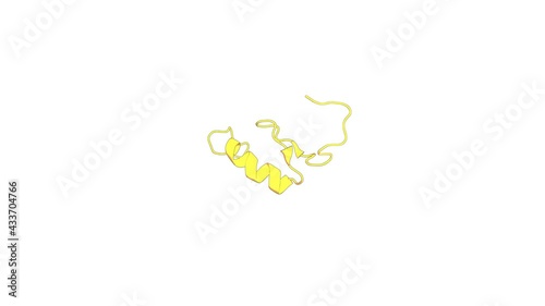 360º 3D rendering of a biological molecule. Solution structure of the C2H2 type zinc finger (region 284-316) of human Zinc finger protein 347 photo