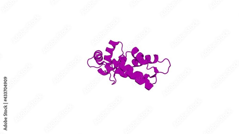 360º 3D rendering of a biological molecule. Structure of androcam supports specialized interactions with myosin VI. 360º 3D rendering of a biological molecule. Structure of androcam supports specialized interactions with myosin VI.