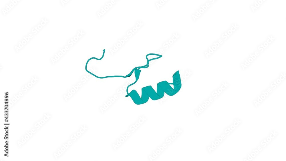 360º 3D rendering of a biological molecule. Solution structures of the DNA-binding domains of immune-related zinc-finger protein ZFAT 360º 3D rendering of a biological molecule. Solution structures of the DNA-binding domains of immune-related zinc-finger protein ZFAT