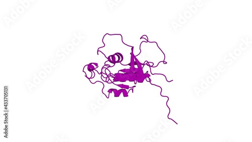 360º 3D rendering of a biological molecule. Definition of the switch surface in the solution structure of Cdc42Hs.