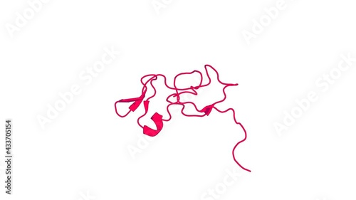 360º 3D rendering of a biological molecule. Solution structure of the CHORD domain of human CHORD-containing protein 1 photo