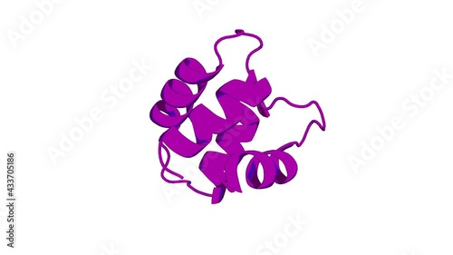 360º 3D rendering of a biological molecule. Letter to the Editor: Solution structure of a calmodulin-like calcium-binding domain from Arabidopsis thaliana photo