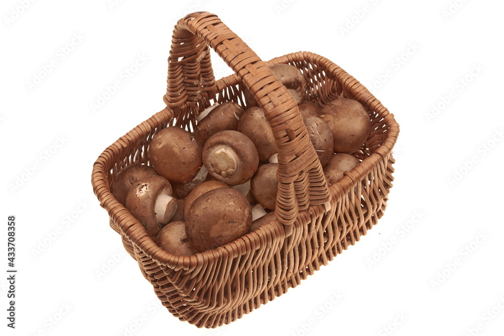 Brown Champignon Mushrooms In Wicker Basket, Isolated On White Background, Top View. Champignon Brown Mushrooms Overhead View. Fresh Uncooked Mushrooms On White Background. Mashed Soup Ingredients.