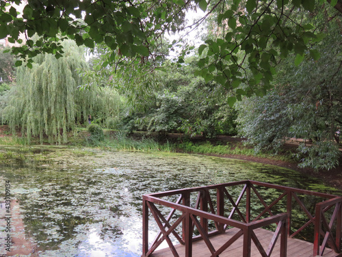 Moscow. Botanical Garden. Apothecary's garden. Beautiful plants.  Wonderful landscape.