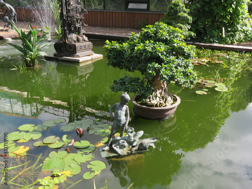Moscow. Botanical Garden. Apothecary's garden. Beautiful plants.  Wonderful landscape.