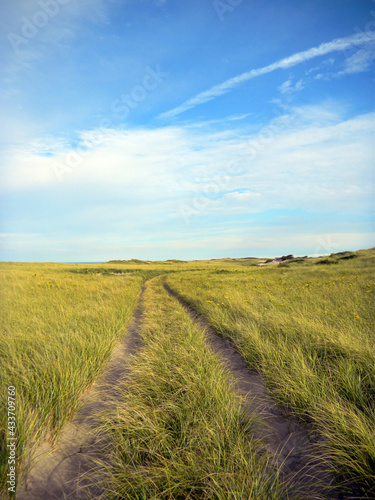 Beach and Dune Road at the Cape Cod National Seashore 