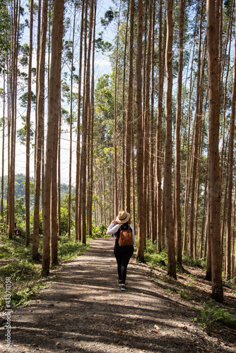 woman with hat and backpack on the ecological hiking trail in the forest. Naturalist ecotourism adventure walking in a national wildlife park © FranciscoStockLife