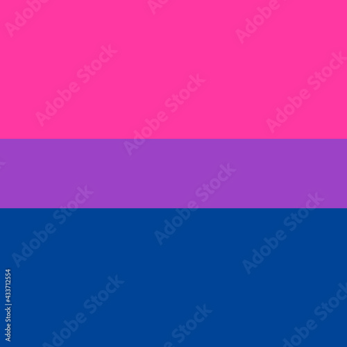 Vector flat bisexual pride flag isolated on background