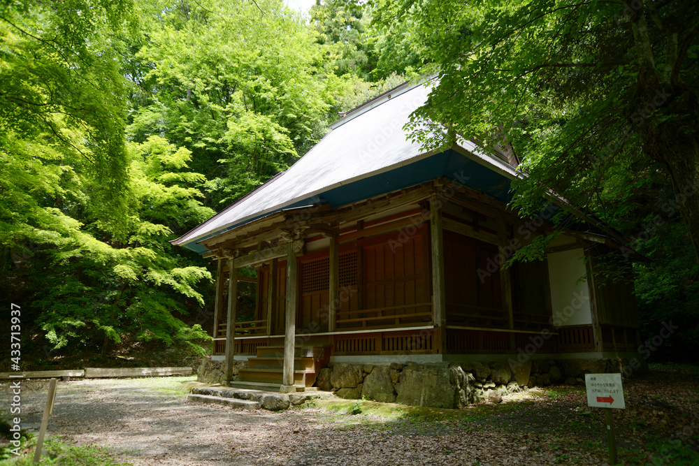 新緑の鶏足寺 本堂 滋賀県長浜市 新緑の鶏足寺 本堂 滋賀県長浜市